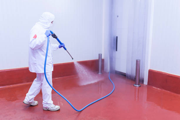 Best Warehouse Cleaning  in Hoopa, CA